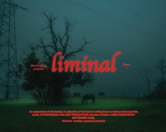 Liminal art magazine photobook with poems, stories and articles.