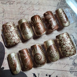 Fossil Bronze Press On Nails | Ammonite Shell Art | Vintage Natural History Nails | Textured Botanical Museum Style Nail Set | Fossil Art