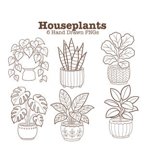 May include: A collection of six brown line art illustrations of houseplants in various decorative pots, labeled with the text Houseplants 6 Hand Drawn PNGs. Each plant features distinct leaf shapes, including trailing vines, upright spikes, and broad foliage.