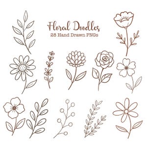 Może przedstawiać: Kolekcja brązowych ilustracji liniowych przedstawiających różne kwiaty, liście i gałązki. Tekst na górze brzmi Floral Doodles 28 Hand Drawn PNGs. Te botaniczne rysunki są ułożone w siatkę na jednolitym białym tle.