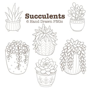 Op de afbeelding: Een verzameling van zes handgetekende lijntekeningen van diverse vetplanten in decoratieve potten. De tekst "Succulents 6 Hand Drawn PNGs" staat bovenaan in het midden. Elke plant heeft duidelijke bladvormen en patronen in bruine lijnen.