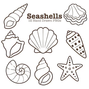 Seashell Icons Clipart PNGs | Hand Drawn Coastal Shell Line Art | 12 Beach Shell Illustrations | Traceable Cricut Sublimation Commercial Use