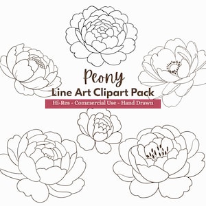 Op de afbeelding: Een verzameling van zes handgetekende pioenroos line art clipart illustraties in zwart en wit. Het woord "Peony" staat in een scriptletter boven de tekst "Line Art Clipart Pack". De tekst "Hi-Res - Commercial Use - Hand Drawn" staat eronder.