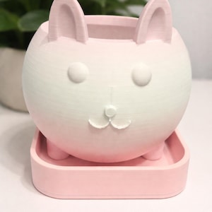 May include: A pink and white ceramic planter shaped like a cat's face. The planter has a round body, two upright ears, and a tray base. The cat face features round eyes, a nose, and a small mouth. The planter is designed for small plants.