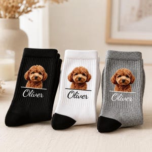 Könnte beinhalten: Drei Paar gerippte Socken in Schwarz, Weiß und Grau. Jedes Paar zeigt einen Fotodruck eines braunen Pudelwelpen über einer horizontalen Linie und dem Namen Oliver in Schreibschrift. Die Socken haben einfarbige Zehenbereiche.