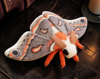 Cecropia Moth Plush Toy 25cm | Lifelike Insect Stuffed Animal | Unique Nature Gift