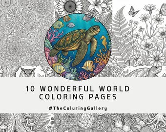 10 Mandala Coloring Pages for Adults, Intricate Symmetrical Designs, Printable Stress Relief Coloring Book, Instant Download PDF, Zen Art