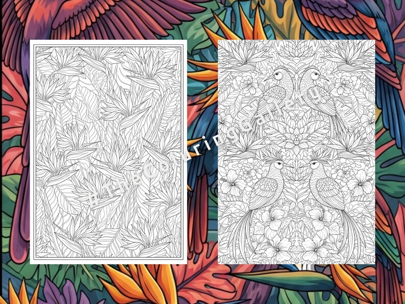 10 Exotic Birds Coloring Pages for Adults, Intricate Tropical Birds of ...