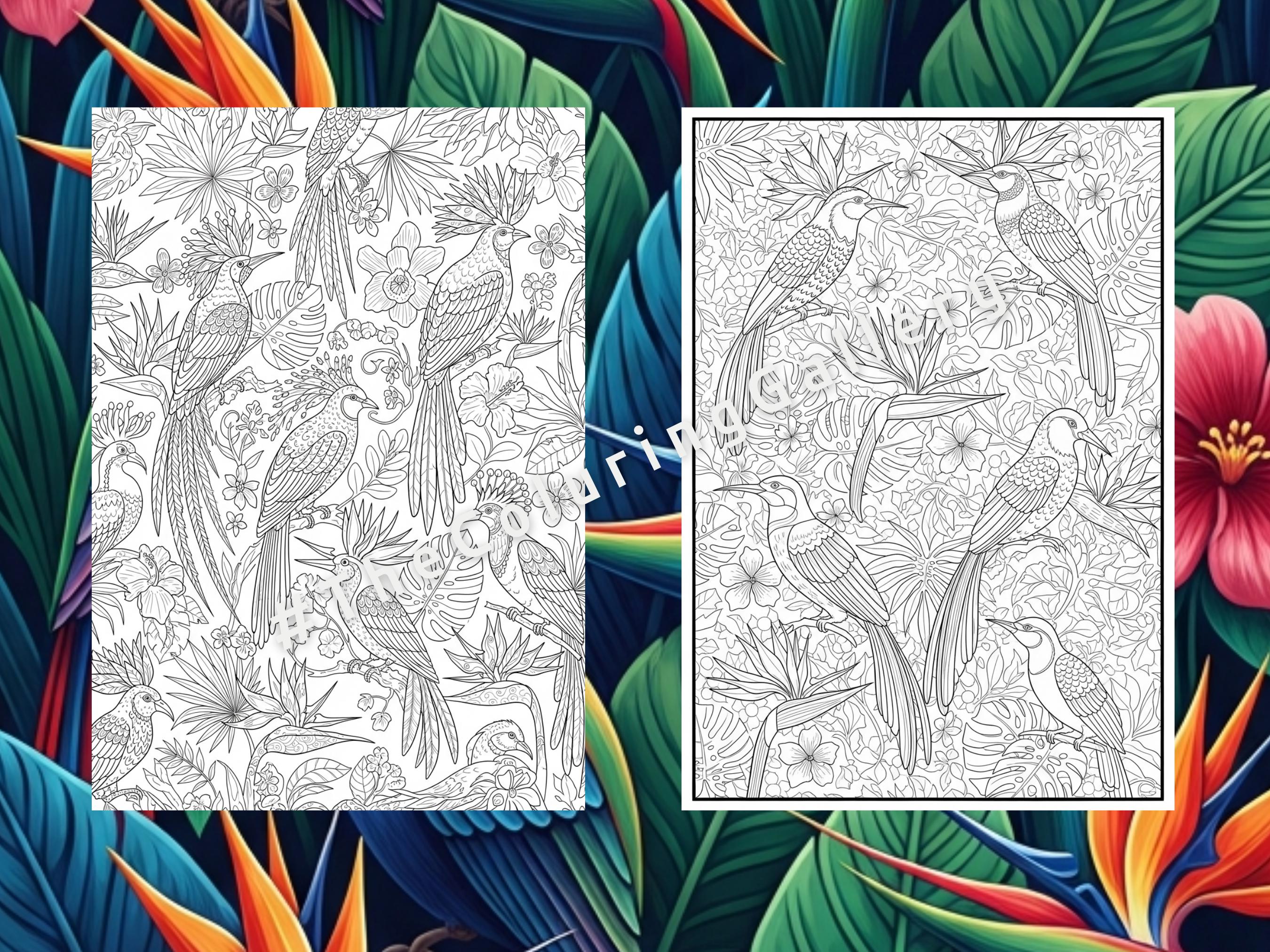9 Exotic Birds Coloring Pages for Adults, Intricate Tropical Birds of ...
