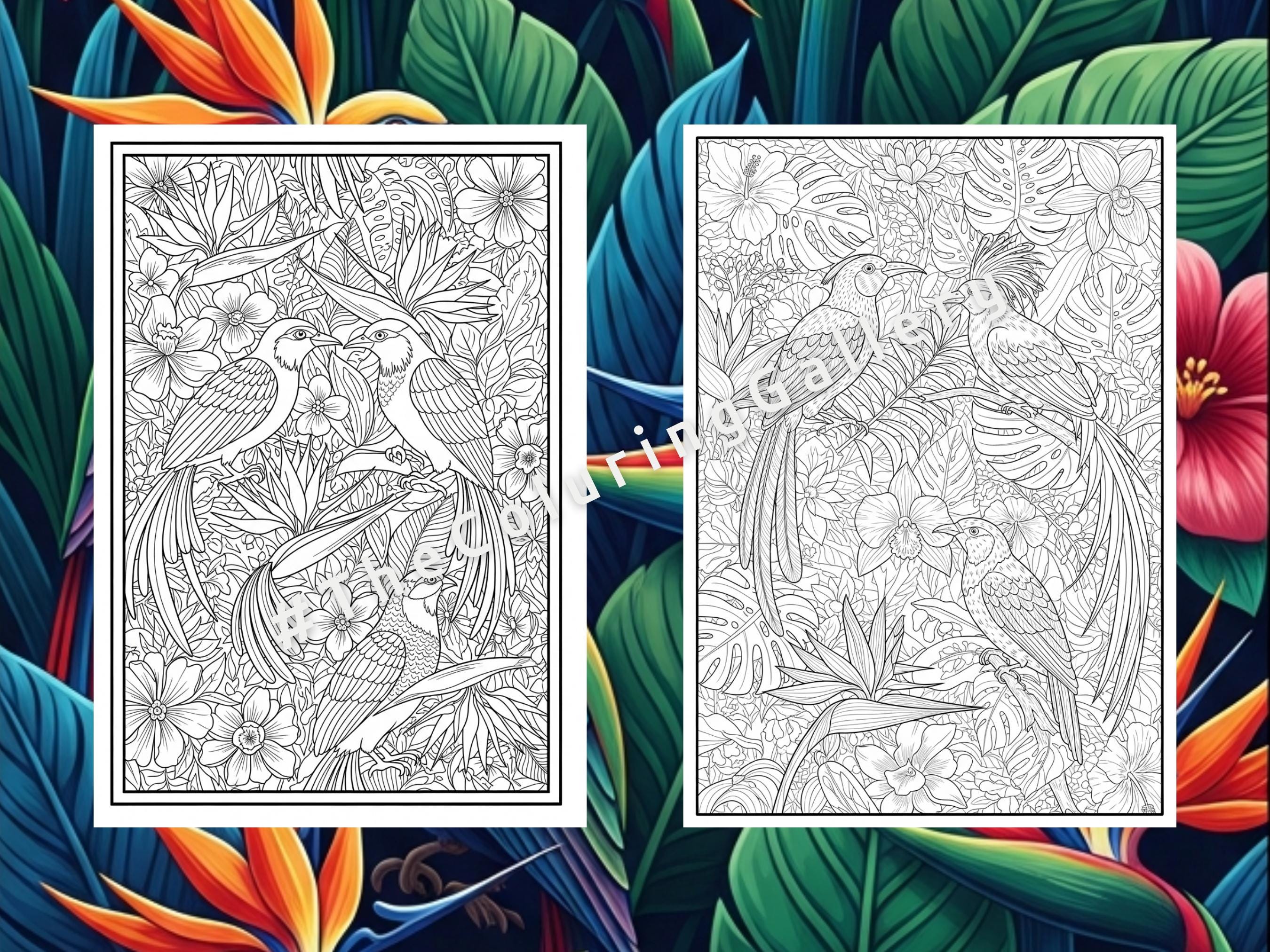 9 Exotic Birds Coloring Pages for Adults, Intricate Tropical Birds of ...