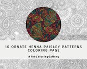 10 Henna Paisley Coloring Pages for Adults, Intricate Bohemian Patterns, Printable Stress Relief Art, Instant Download PDF, Henna Design