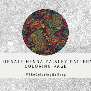 10 Henna Paisley Coloring Pages for Adults, Intricate Bohemian Patterns, Printable Stress Relief Art, Instant Download PDF, Henna Design