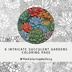 6 Succulent Garden Coloring Pages for Adults, Intricate Desert Plant Designs, Printable Nature Stress Relief, Instant Download PDF