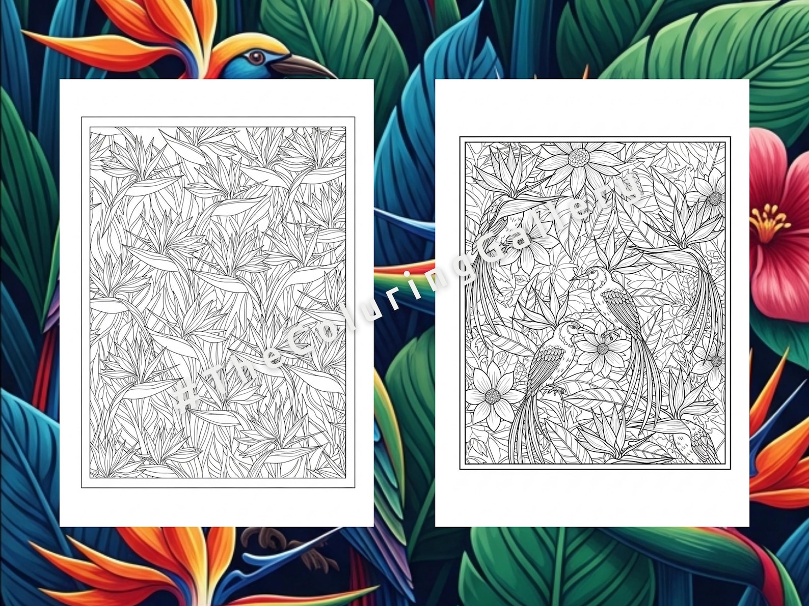 9 Exotic Birds Coloring Pages for Adults, Intricate Tropical Birds of ...