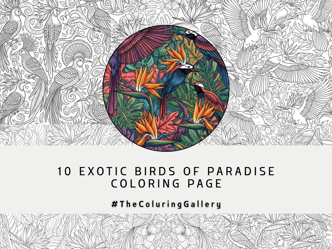10 Exotic Birds Coloring Pages for Adults, Intricate Tropical Birds of ...