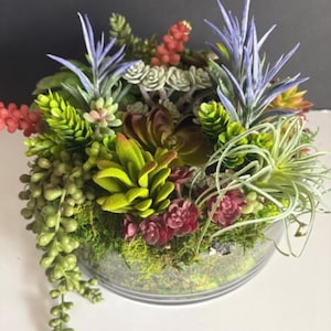 Vaso rotondo in vetro con finte piante grasse / Decorazione per la casa I Senza manutenzione