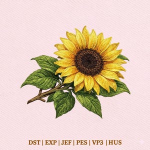 May include: A detailed illustration of a sunflower with yellow petals and a dark brown center. Green leaves and a brown stem are also visible. The image is set against a light pink textured background.