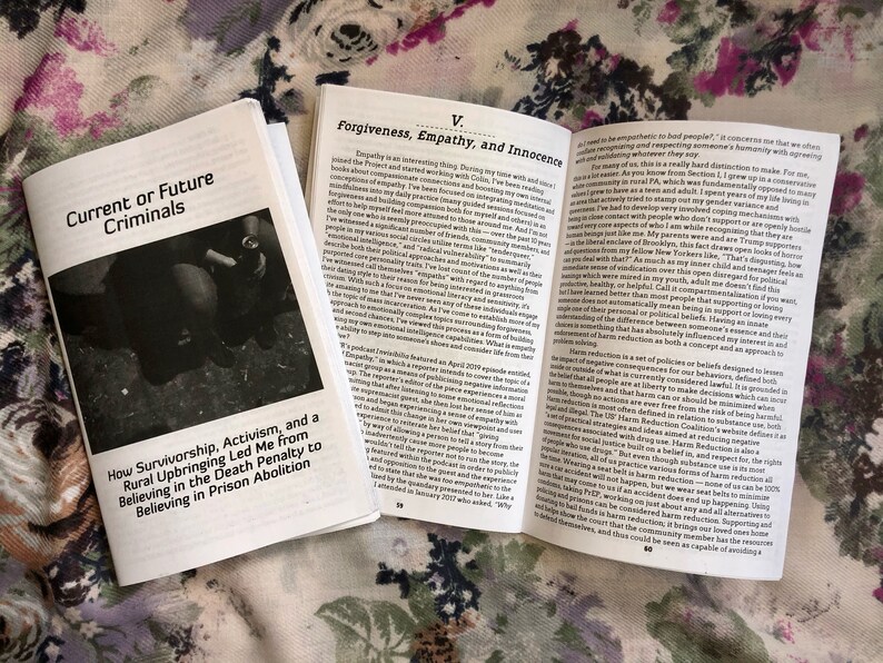 Current or Future Criminals: How Survivorship Activism and a image 4