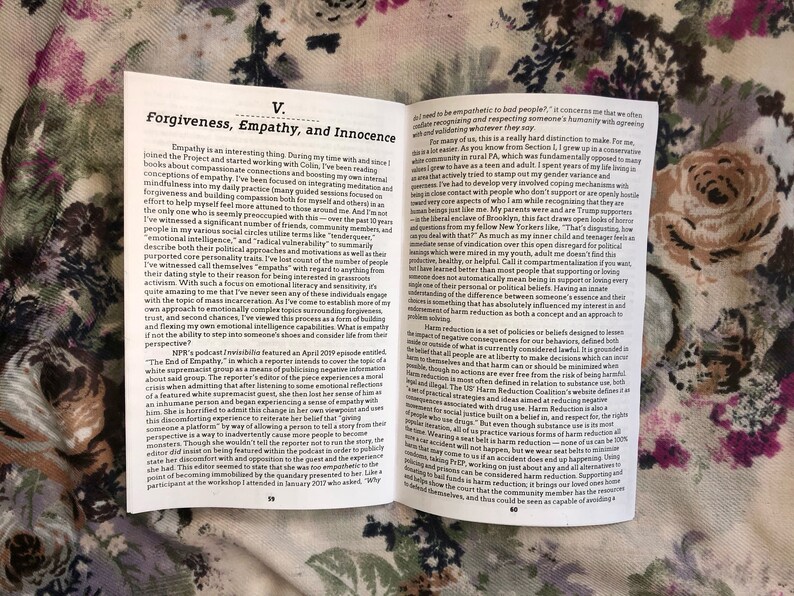 Current or Future Criminals: How Survivorship Activism and a image 5