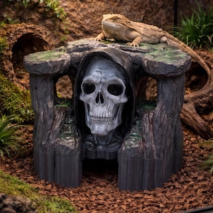 以下が含まれることがあります： ドクロ型の隠れ家がある装飾的な爬虫類生息地。 生息地は濃い灰色で、質感のある風化した外観をしています。 隠れ家の上には、ひげを生やしたドラゴンがいます。テラリウムの自然な環境に囲まれています。