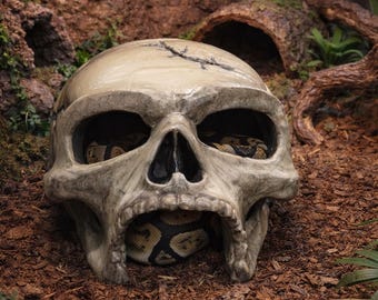Skull Hide