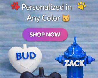 Custom Pet Tag