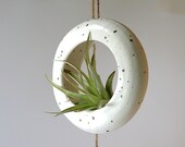 White hanging planter. Terrarium, rustic home decor, air plant, tillandsia hanging contemporary plant holder.