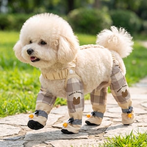 May include: A beige poodle wearing a beige and brown plaid outfit with matching booties. The outfit has the words "Happy Puppies" and a bear graphic on the legs. The dog is outdoors on a stone path.