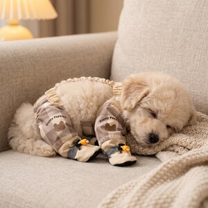 May include: A sleeping puppy wearing a brown plaid outfit with the words "Happy Puppies" and a bear graphic. The puppy is lying on a beige blanket on a sofa. The outfit includes matching booties with orange accents.