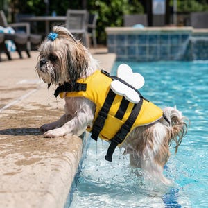 Chaleco de natación adorable para mascotas / Chaqueta de natación para perros pequeños / Traje de seguridad para mascotas en la piscina / Traje de baño de verano para mascotas