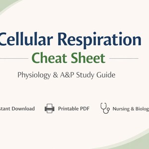 May include: A cream-colored study guide titled "Cellular Respiration Cheat Sheet" with navy and green text. The guide includes the text "Physiology & A&P Study Guide" and icons for instant download, printable PDF, and nursing & biology students.