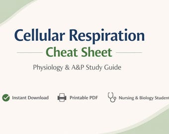 Cellular Respiration Cheat Sheet | Physiology and A&P Study Guide | Nursing Exam Notes | Printable PDF