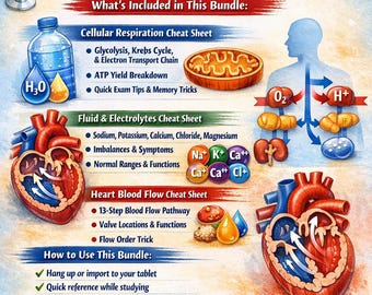 Anatomy Physiology Study Guide Bundle | Nursing A&P Cheat Sheets (Digital Download)
