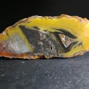 May include: A polished agate slice featuring vibrant yellow and amber concentric banding surrounding a dark, textured charcoal-coloured centre with a small crystalline inclusion on the left side and a jagged, natural outer edge.