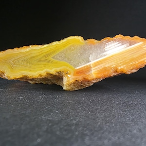 以下が含まれることがあります： 鮮やかな色のグラデーションが特徴の研磨された瑪瑙のスライス。左側は独特の同心円状の縞模様がある明るい黄色で、右側は半透明の結晶質のオレンジと白になっており、外縁はギザギザとした自然な形状をしています。