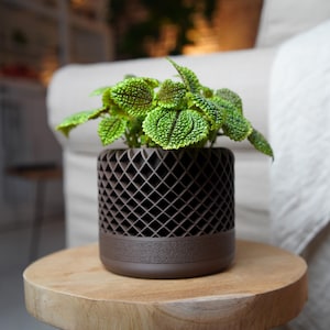 Op de afbeelding: Een kleine potplant met heldergroene bladeren en een textuuroppervlak. De plant staat in een bruine pot met een geometrisch patroon. De pot staat op een ronde, houten tafel.