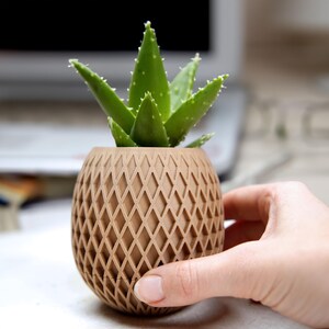 Op de afbeelding: Een kleine groene aloë vera plant in een bruine pot met een ruitpatroon. De pot is rond en heeft een textuur. De plant staat in focus, met een vage achtergrond.