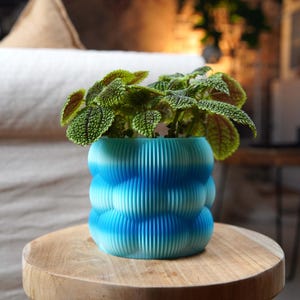 Op de afbeelding: Een blauw-witte gestreepte bloempot met een plant. De pot heeft een uniek, golvend ontwerp en is gevuld met een groene plant met getextureerde bladeren. De pot staat op een houten tafel.