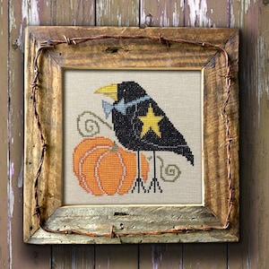 May include: A black crow with a blue bow tie and a yellow star on its chest stands on a small orange pumpkin. The crow and pumpkin are embroidered on a white fabric.