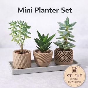 Peut inclure: Ensemble de mini-jardinières avec trois succulentes dans des pots beiges. Les pots présentent des motifs géométriques, en spirale et en treillis. Les plantes sont disposées sur un plateau rectangulaire gris. Le texte "Mini Planter Set" et une icône de téléchargement numérique sont inclus.