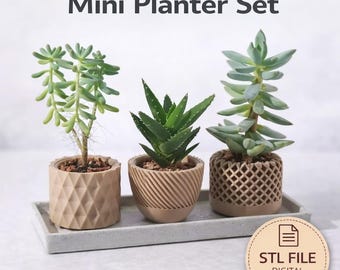 Geometric Planter STL | Succulent Plant Holder with Drainage and Insert for Desk, Windowsill & Home Decor | Modern 3D Print File