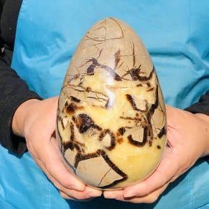 May include: A polished, egg-shaped stone sculpture featuring a smooth surface with a complex pattern of tan, beige, and cream colors. The stone is marked by dark brown, jagged, vein-like inclusions that create a striking contrast against the lighter base.