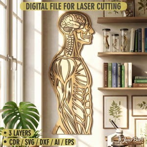 Op de afbeelding: Een gelaagd houten anatomisch model van het menselijk lichaam, inclusief de hersenen, schedel en spieren. Het model is ontworpen voor lasersnijden en is gelabeld met "DIGITAL FILE FOR LASER CUTTING". Het ontwerp bevat 3 lagen en is beschikbaar in CDR-, SVG-, DXF-, AI- en EPS-formaten.