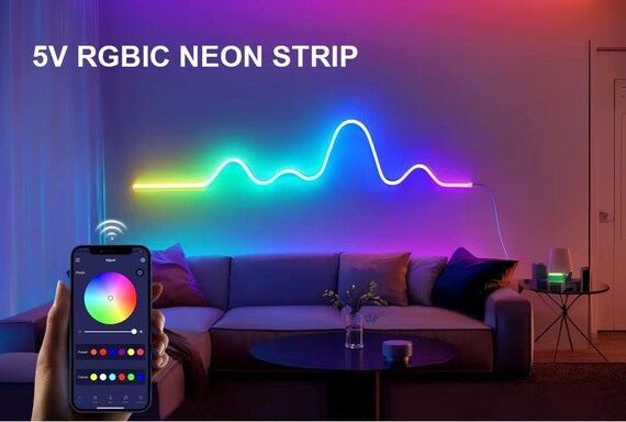 Wall Decor RGBIC Neon LED Strip Light – USB Bluetooth Color-Changing
