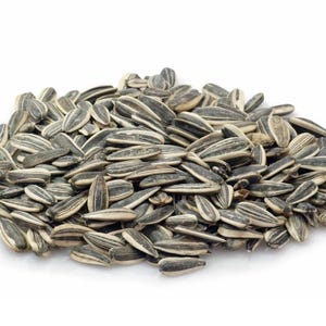 Raw Jumbo Sunflower Seeds, Unsalted, In Shell, Vegan All Natural Snack