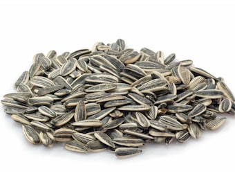 Raw Jumbo Sunflower Seeds, Unsalted, In Shell, Vegan All Natural Snack
