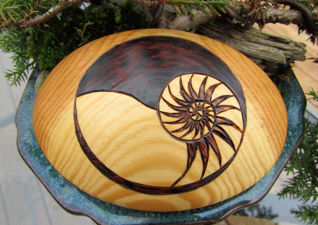 Scots Pine Wood River Rock With Nautilus Shell Pyrography Woodburning ...