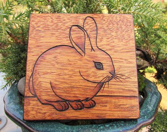 Bunny Rabbit on Honduras Mahogany Pyrography Woodburning