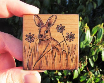 Little Bunny Rabbit on Red Alder Wood Pyrography Woodburning