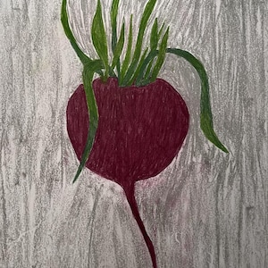 Puede incluir: Ilustración dibujada a mano de una remolacha. La remolacha es de color burdeos oscuro con hojas verdes y una raíz larga y delgada. El fondo es gris texturizado.